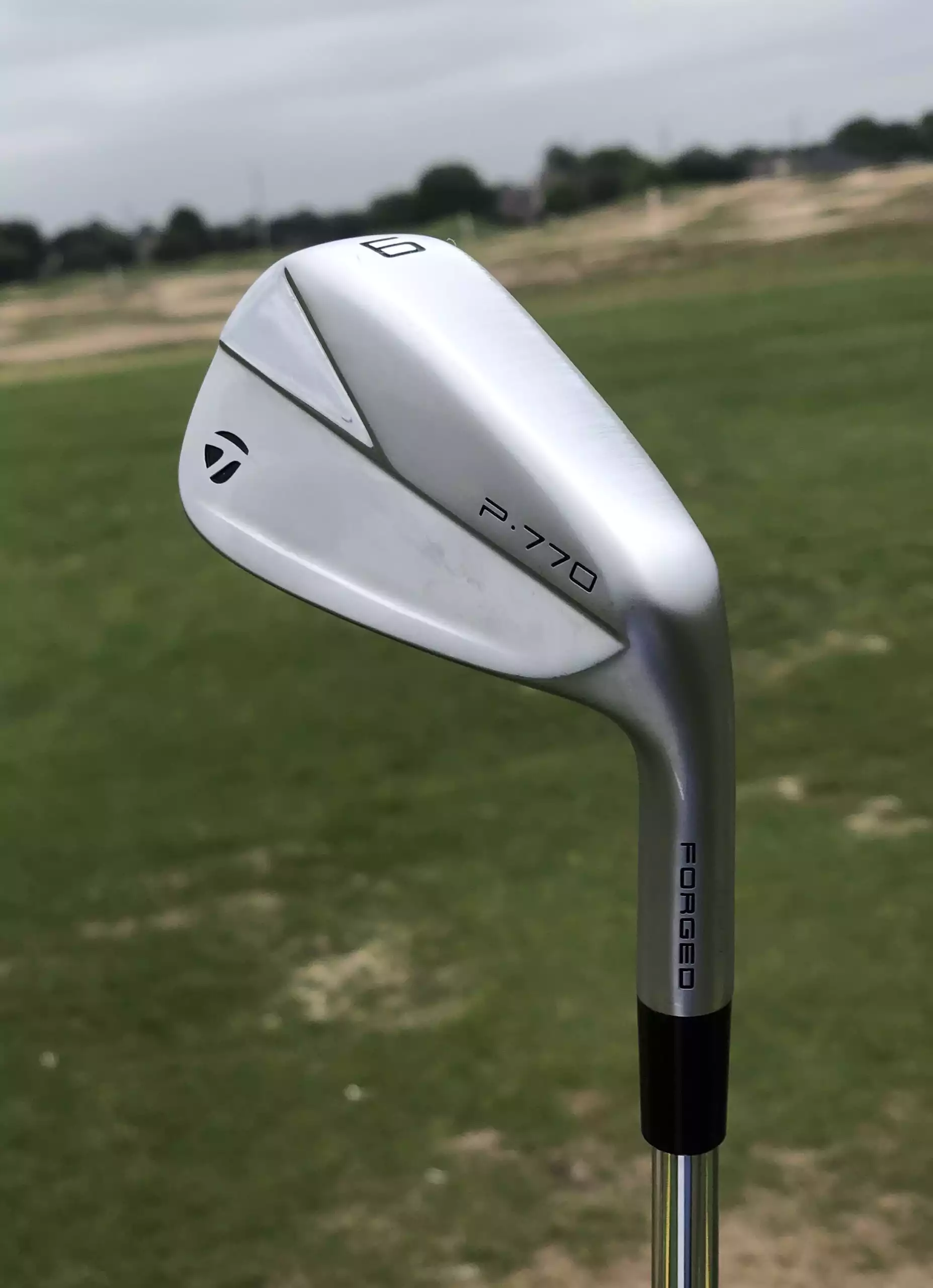 New and Used TaylorMade P770 Iron Set 4-PW Golf Club at GlobalGolf.com